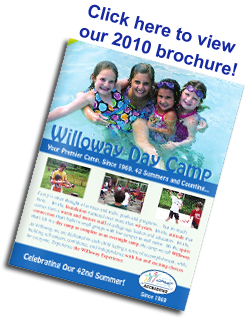 2010 Brochure