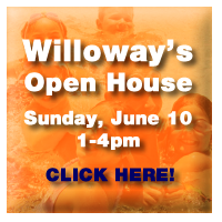 Open House